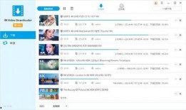 海恩外网爆料视频下载,下载背后的真相与争议