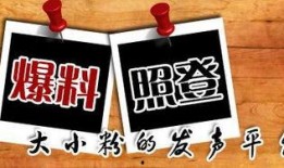 新闻爆料配图,事件背后真相令人震惊