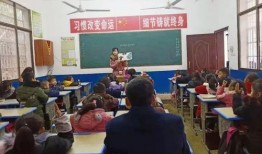 外海中心小学爆料新闻事件,真相揭秘，家长学生关注焦点