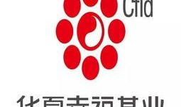 邯郸保利最新爆料消息,揭秘邯郸保利项目神秘面纱