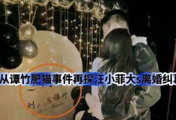 肥猫事件爆料最新