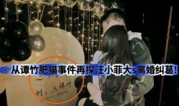 肥猫事件爆料最新