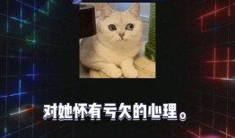 娱乐随拍吃瓜八卦视频下载,随拍吃瓜，八卦视频下载全攻略