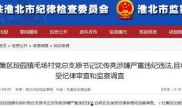 大皖新闻爆料平台官网