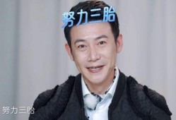 陆毅爆料郑恺原因视频,真相背后的惊人转折