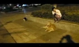 偷窥欲室在线观看,一场虚拟与现实交织的视觉盛宴