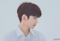 王源近日爆料视频播放下载,独家爆料视频播放下载全攻略