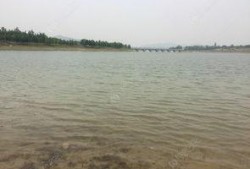 东风水库爆料视频大全最新,揭秘水库神秘面纱