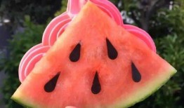 浙江网红吃瓜,揭秘网络红人的幕后故事