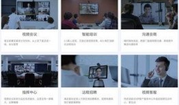 奶企高管爆料视频大全集,揭秘行业内幕与真相