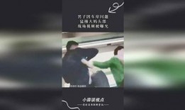 大妈爆料被打视频播放下载,下载播放背后的真相揭秘