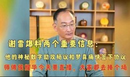 最初谢雷爆料杨议视频,揭秘背后惊人内幕
