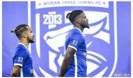 武汉外援爆料最新消息,揭秘疫情下的真实情况与挑战”