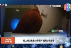 安徽在线直播观看视频,全景式体验家乡之美