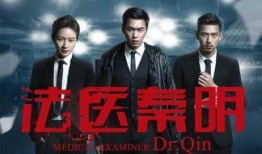 全集电视剧在线观看,畅享影视盛宴，尽在指尖