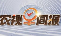 今天楼盘爆料新闻视频,揭秘新盘亮点与潜在风险