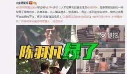 李洋洋爆料视频大全集,揭秘娱乐圈幕后真相