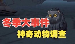 神奇动物空间爆料视频,神秘生物齐聚，奇幻世界一探究竟