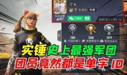 pubgm极品宝箱爆料最新,pubgm极品宝箱内容大揭秘！