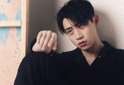 魏晨爆料大张伟视频,揭秘娱乐圈幕后故事