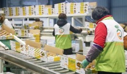 姜堰粥店爆料案件视频播放,视频揭露惊人真相