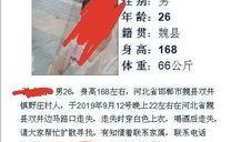 魏县最新爆料新闻,最新爆料揭示惊人真相