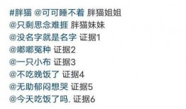 肥猫事件爆料最新