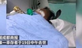新闻爆料中毒事件视频,视频揭露惊人真相，警方紧急介入调查