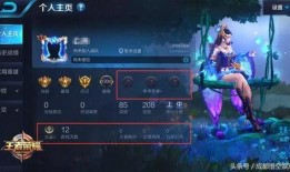 不正经王者爆料视频,不正经视频揭秘游戏幕后趣闻