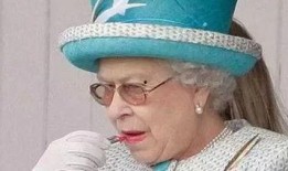 王室最新爆料新闻视频,最新爆料视频揭露王室不为人知的一面