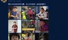 小羽毛爆料炒作视频大全,揭秘热门炒作视频背后的真相