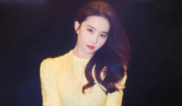 圈内爆料刘亦菲杨紫视频