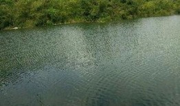 东风水库爆料视频大全最新,揭秘水库神秘面纱