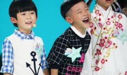 田源儿子最新爆料,父亲背后的感人故事与心酸历程