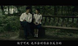 张艺谋电影最新爆料视频,幕后故事与创作灵感大公开