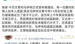 圈内爆料离婚真相,圈内爆料，离婚真相曝光！