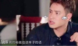 潘玮柏采访视频李晨爆料,李晨爆料背后的故事