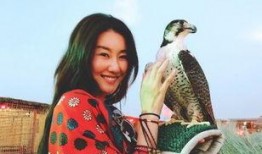 王宝强新女友爆料视频在线观看,揭秘背后惊人真相