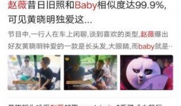 奶企高管爆料视频大全集,揭秘行业内幕与真相