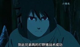 佐助爆料官方视频下载安装,佐助官方爆料视频下载安装全攻略