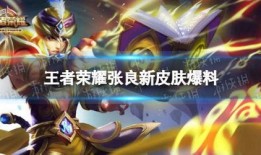 王者皮肤爆料最新大全,最新大全揭秘热门英雄新装