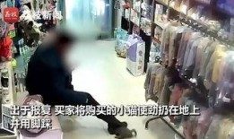 天涯爆料日本风情店视频,天涯爆料视频引发热议