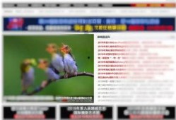飞哥爆料医疗视频,飞哥爆料视频深度解析