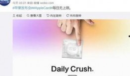 新闻热点爆料视频,最新爆料视频深度解析