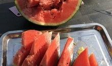 西藏网红的吃瓜,揭秘幕后故事与网络热度