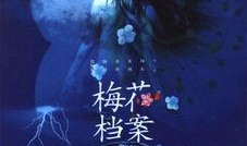 梅花档案在线观看,揭秘传奇女性的传奇人生