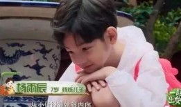 杨爸爆料视频大全