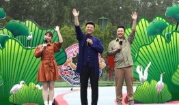 渭南最近爆料新闻视频,视频揭露惊人真相，引发社会关注