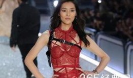 刘雯奚梦瑶最新爆料,揭秘时尚圈背后的惊人真相