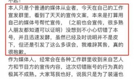 大飞爆料王爸视频大全,王爸视频大全背后的故事与真相